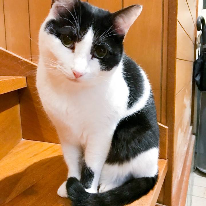 12f58fcf 49bd 4097 be46 3e7831fdf0df 1515888852060