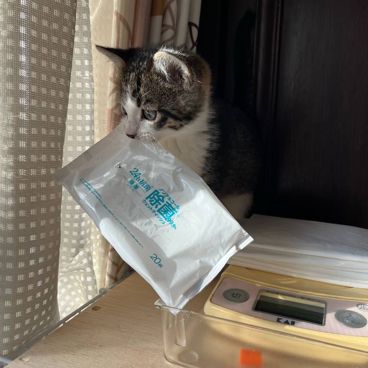 12f5ae9e 1fff 4629 a4ae 944a82d27367 1765584910893