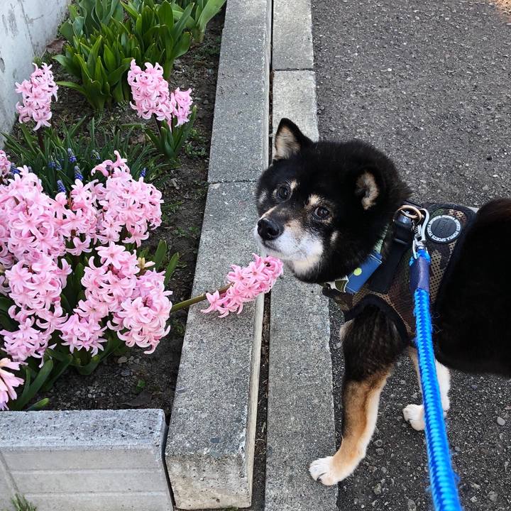 12f5b427 1c19 4f0d ada1 72aa7e86bc94 1555740124341