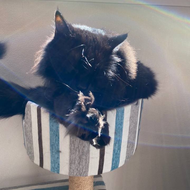 12f5de8f 9f7a 4ba0 a317 a69c79d853a0 1582265902223