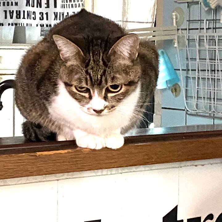 12f5ec39 0929 4785 821a 26bd1cad7406 1577328660266