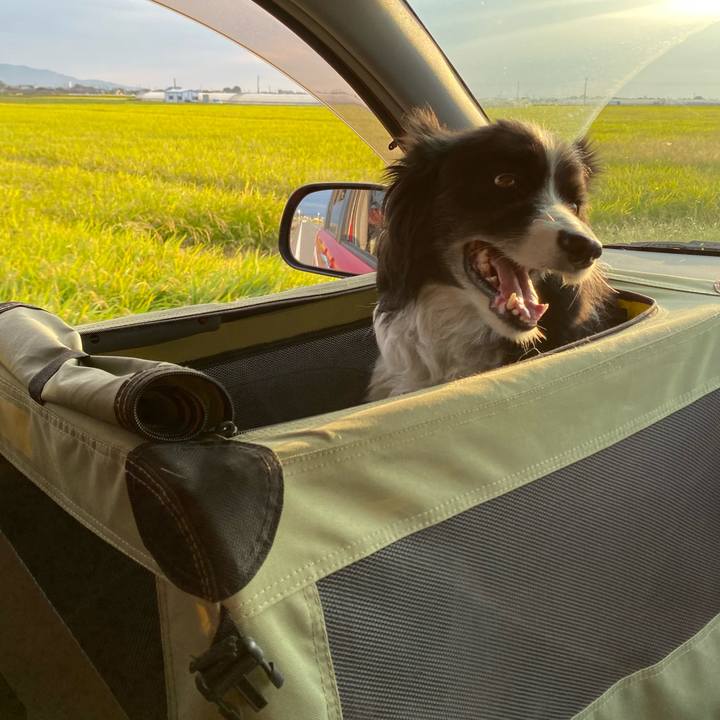 12f5fb5f c75a 4ad5 9e48 c42b8cb4fb94 1632731506565