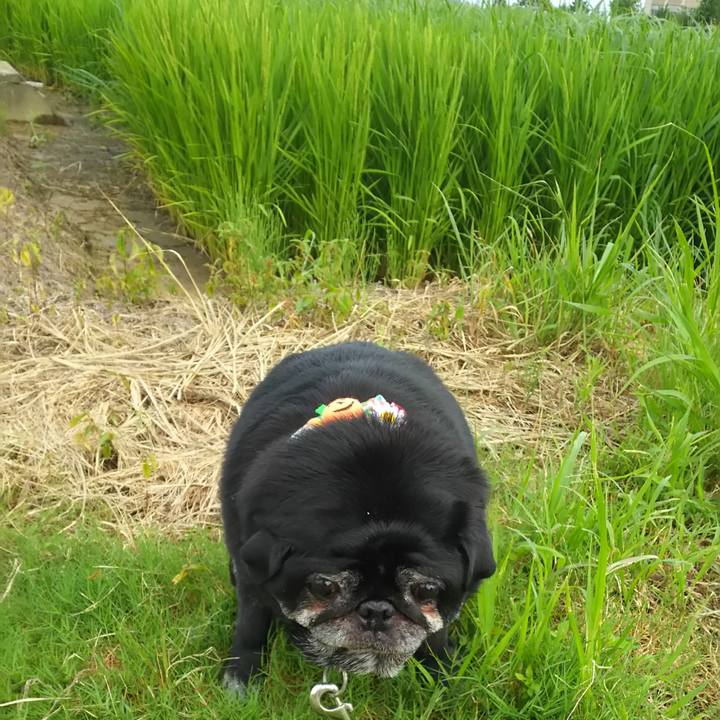 12f5fc33 ab1d 4bcd 9c8c e0d1857ccac1 1595810524821