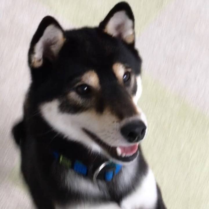 12f60626 e7be 484e 8567 bcb302c98c3b 1508911344582