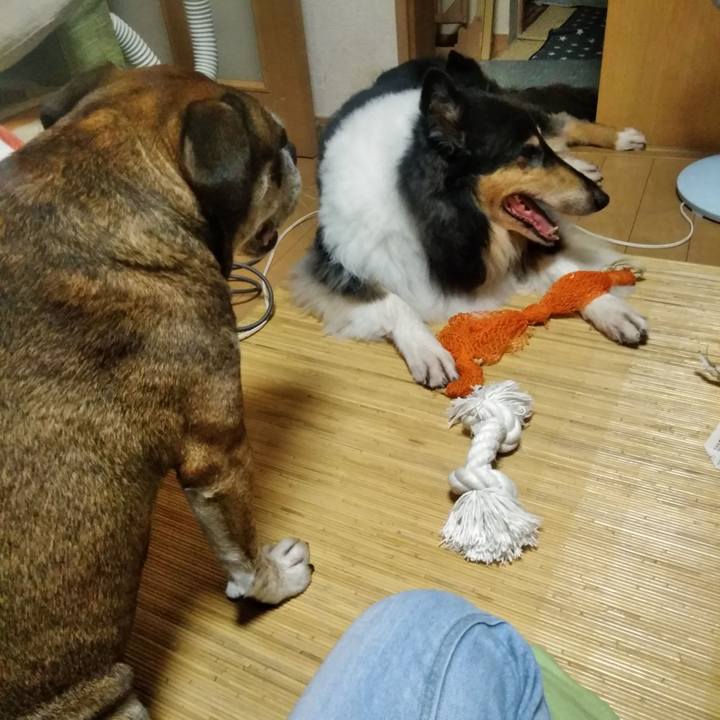 12f61303 de98 4ec6 90c3 01d09b46a8cf 1535459880124