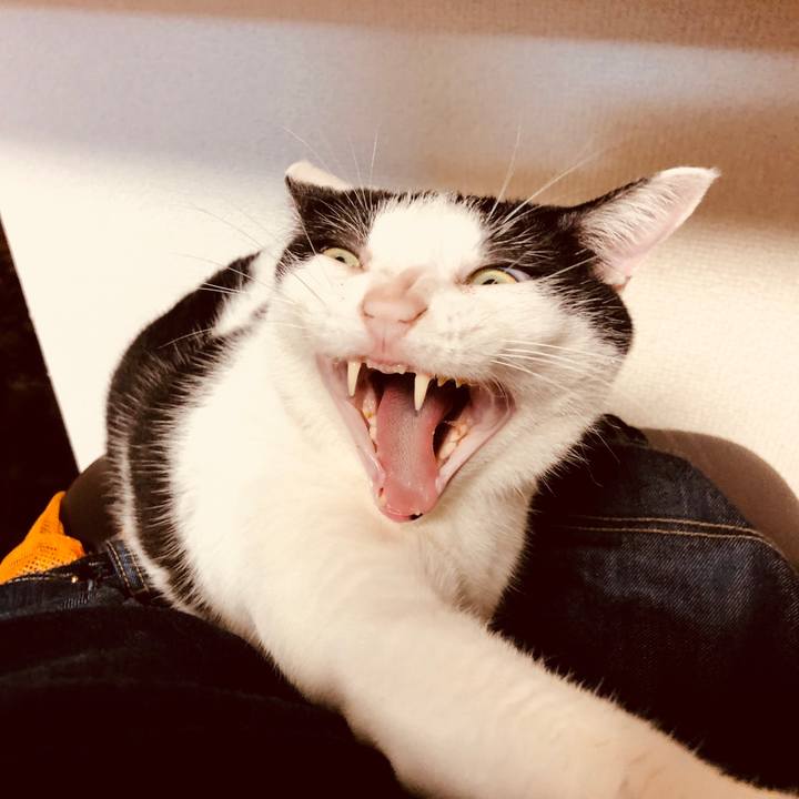 12f62364 79f5 4198 af81 d10451ad4533 1557659766689