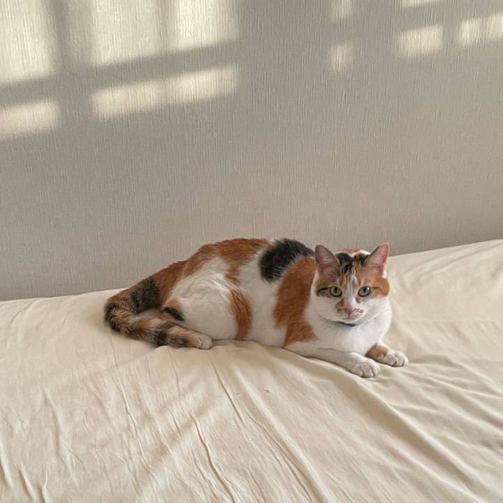 12f643c2 170a 4528 b0e8 2b24f940e2e5 1714726817441