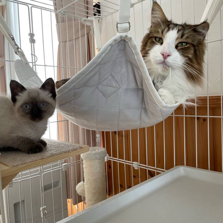 12f67cdf 2e67 483d 8d90 7c4800751f0f 1687298665401