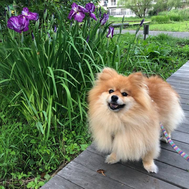 12f6bd43 174c 4d2a bdd1 3a0cc1dd79e1 1560028211144