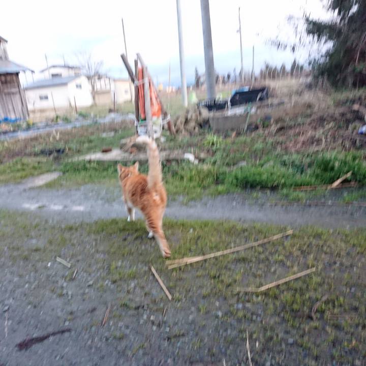 12f6d611 8f56 410e b036 9bf68952f67b 1585040542541