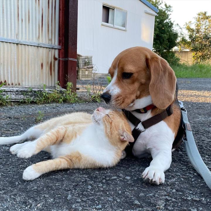 12f6db81 b210 4d6f b1ac b578238b04e7 1660803762091