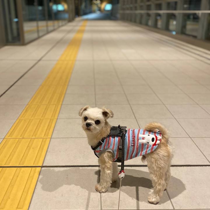 12f718ba 3fc5 4964 9c9d 2907661d699b 1572085481279