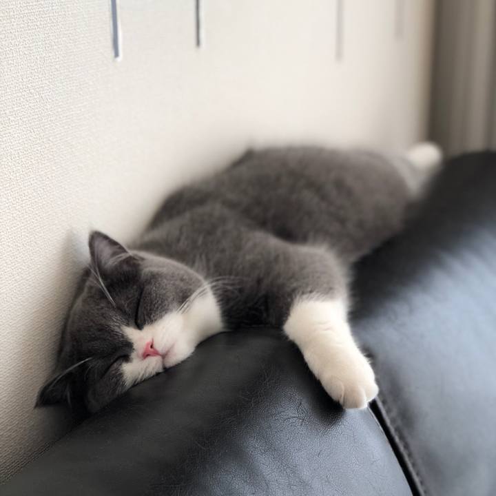 12f7baa4 6157 4074 b7e0 8a2de12f2af5 1517638644246