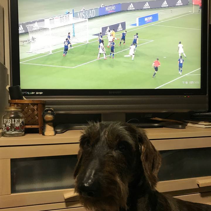 12f7cc47 f959 4987 bd19 71593ca393c5 1527679196882