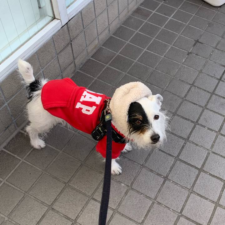 12f7ec06 1e0a 4df2 8004 649fcad0e86c 1645687468026