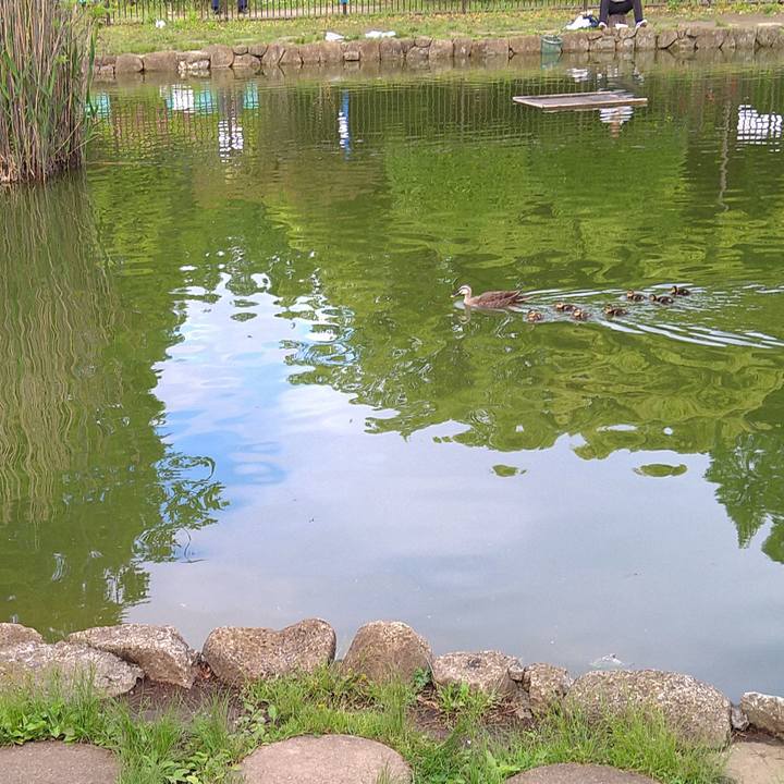 12f7f688 79d6 4661 b3fb ea7ddc405ffb 1619942234610