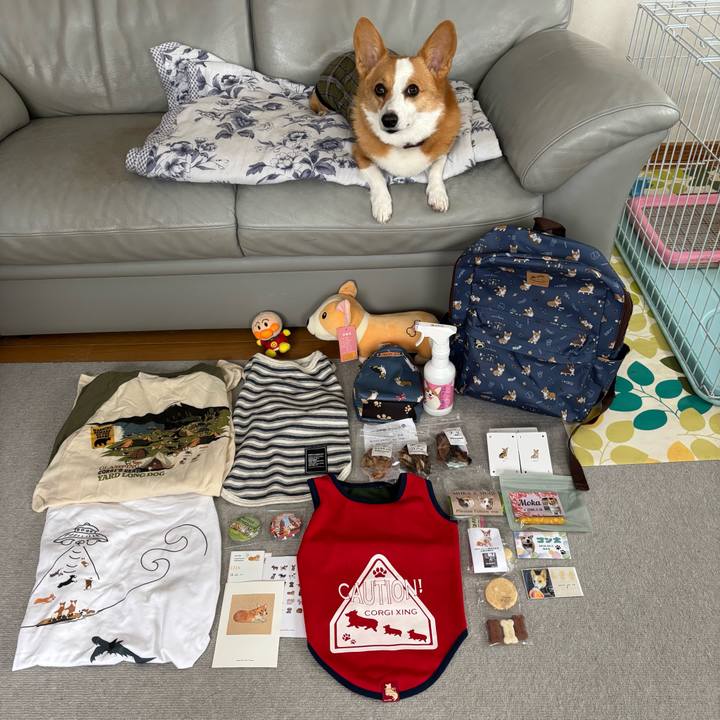 12f811dd 34d5 4970 80b2 f41f57049abc 1760410208101