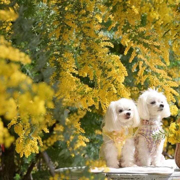 12f82b7c 35a6 43d8 8cd9 f6a79c10078c 1772769797444