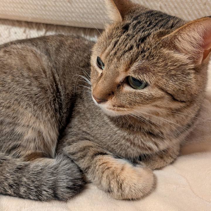 12f84e89 5472 4171 bf4b b8472bc2578e 1788820073142