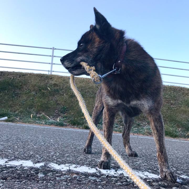 12f86c3a 629a 43d7 8f93 f0845155252a 1577263114804