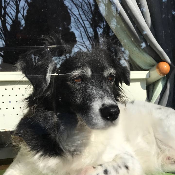 12f88c86 0122 49e6 ab39 c7d48e12f174 1518225518712