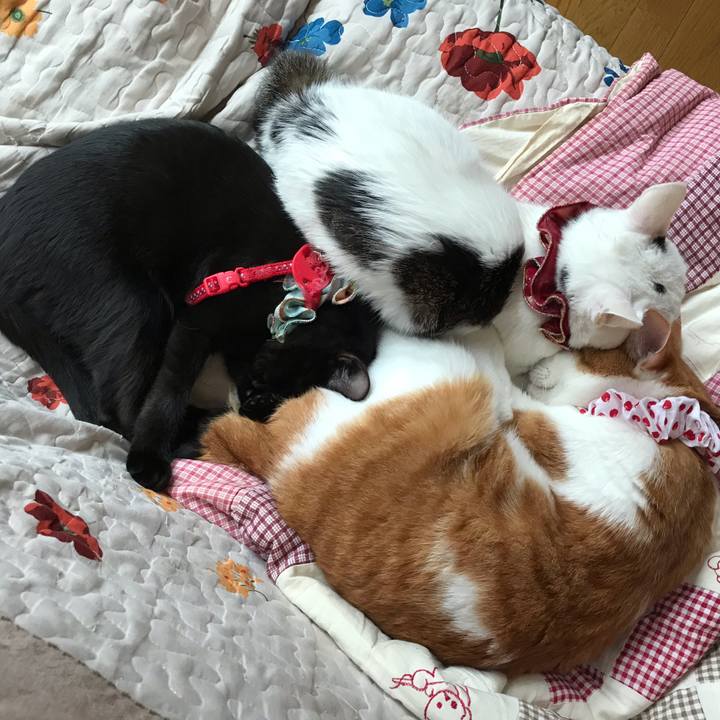 12f8989d 4b1f 46bd a6be 59b4e72e950e 1568596396385