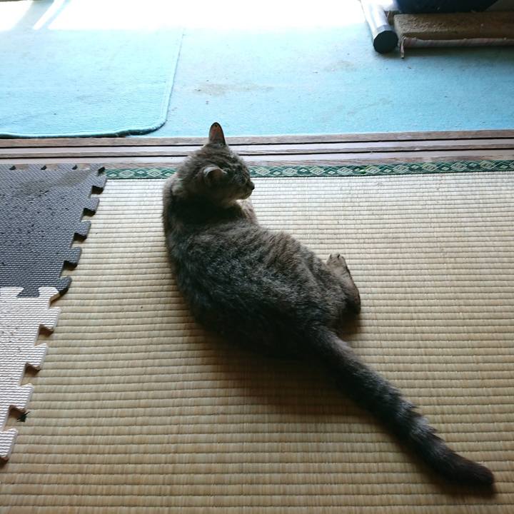 12f8adab c160 4117 836b cd7d500b91de 1566103434822