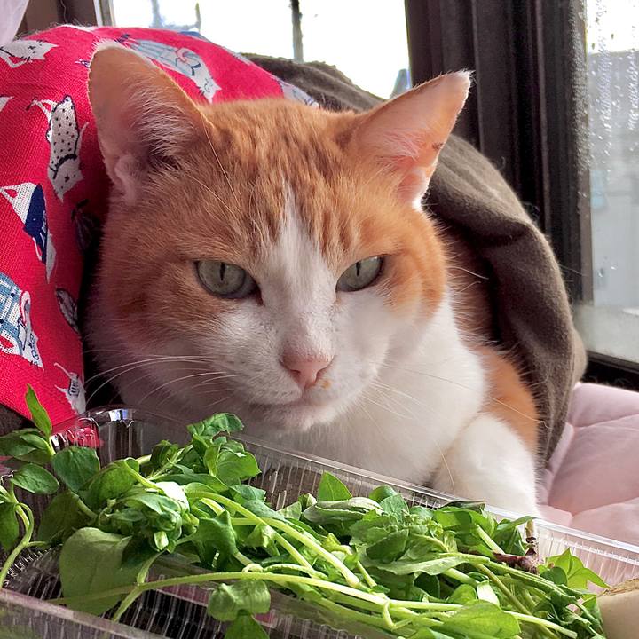 12f8b127 df2c 4daa a346 0c5dc3b57376 1578292904745