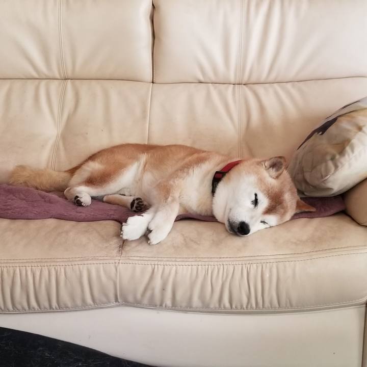 12f8b54a 98ef 4166 ac94 0a506c062a39 1752116801795