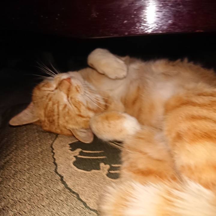 12f8ca29 df4f 4a8f 9206 828d95e5aa2d 1556803334768