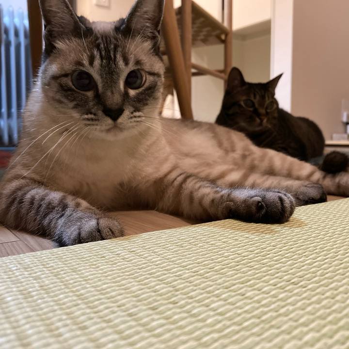 12f8cab1 3d89 4f9d bca7 0a2c3e74dd4c 1622984398267