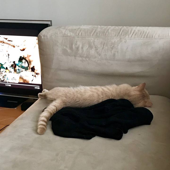 12f8ea7b bf14 41db a0c2 7a1a602a25bc 1532682644250