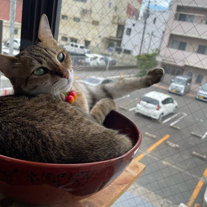 12f8f693 b3eb 4899 b56a 65bd603c0e29 1721291966408