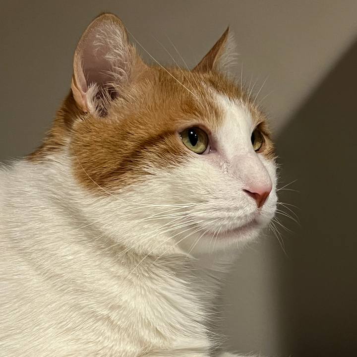 12f936e2 06c6 4e7e 827c a3e5b2c5713a 1765445403349