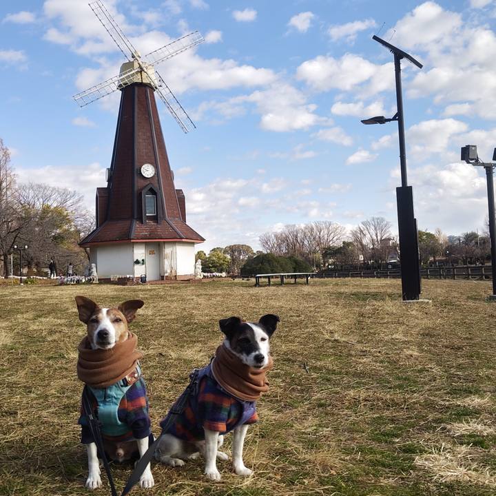 12f940ab 11d0 42f3 ad53 657b180fe939 1767322735643