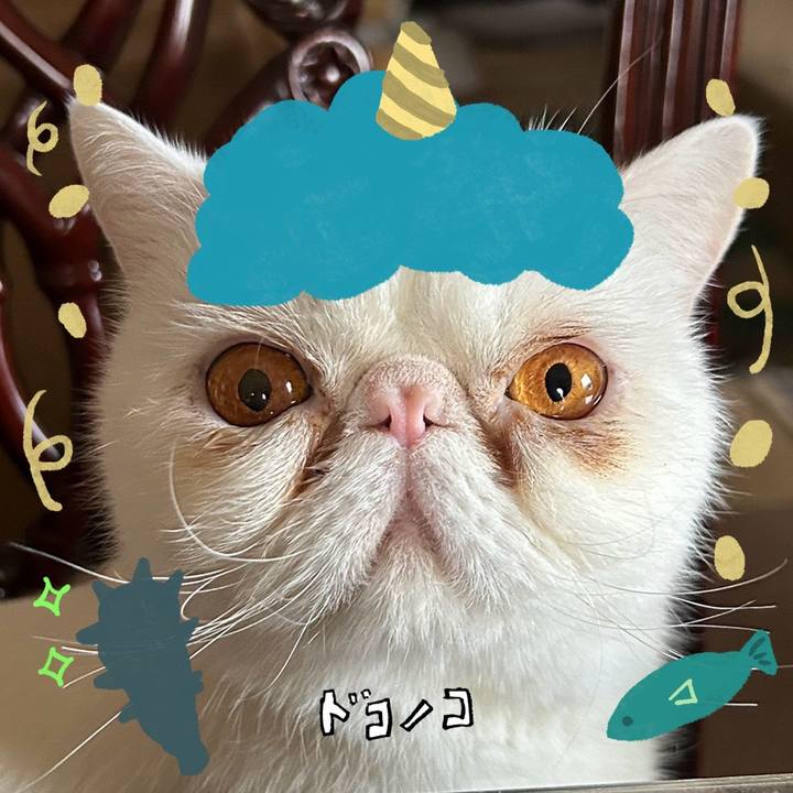 12f9aff6 6798 4dde 8a3b b764166a4d46 1706788453426