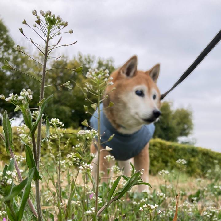 12f9cd95 f56b 46b2 8e0d e73b3008bb9b 1772425059246