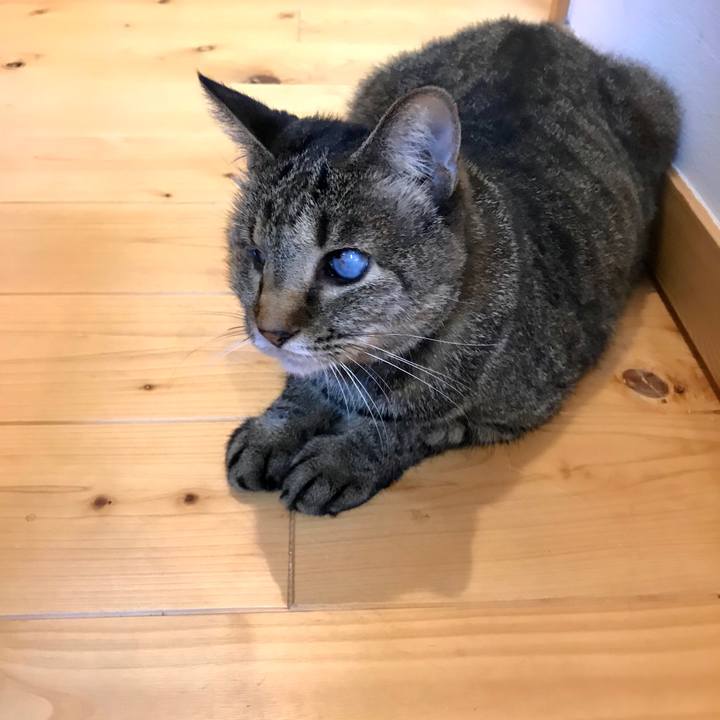 12f9cec0 e94b 40bb 928f 64cf61be43e0 1601864729095