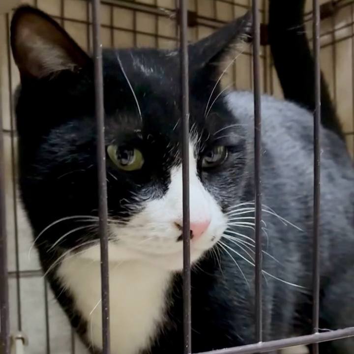 12f9d129 803f 4029 912c d1e13f64d87d 1768223337007