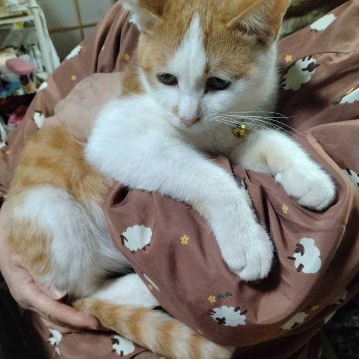 12f9f93e 0481 4fa4 acdc 9a90ed70726f 1737795793065