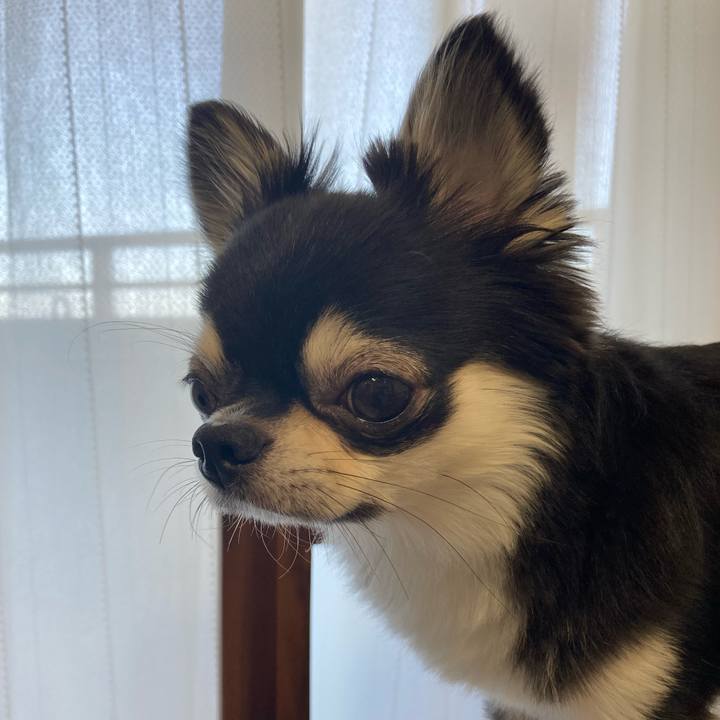 12fa2b73 3ef7 4e57 8f0f 06a88e9a26f1 1626559027678