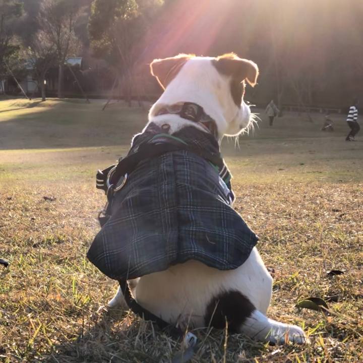 12fa5d64 2662 48e6 8fe1 d17fe1ada012 1547423882410