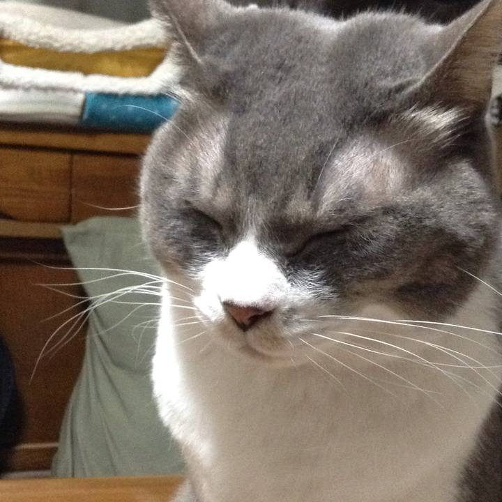 12fa769c 7ca7 440b 9e1e eb61df032de9 1516801285576