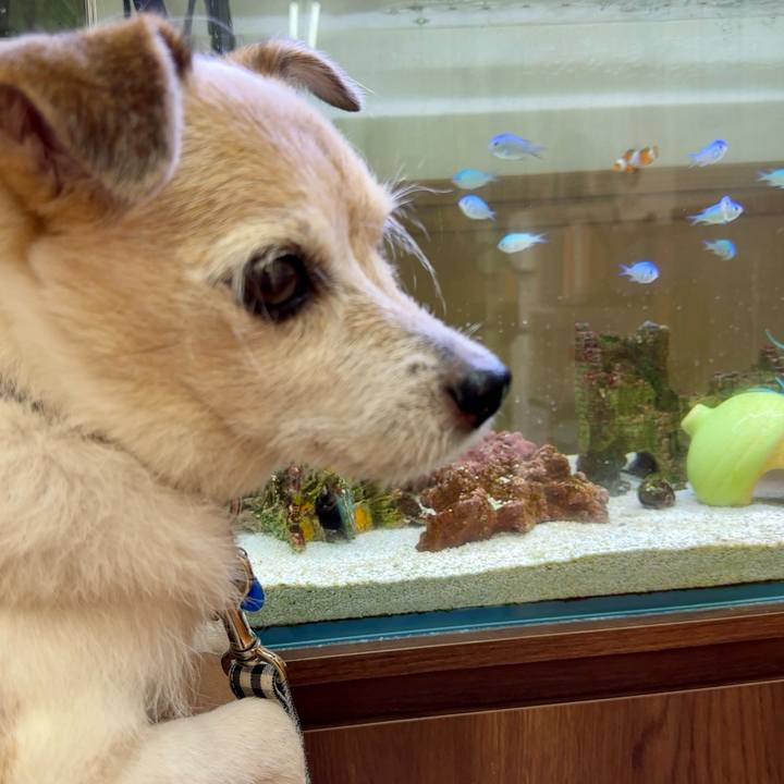 12fa77fb e513 4996 b893 dc71ed3e9fc4 1755943237936