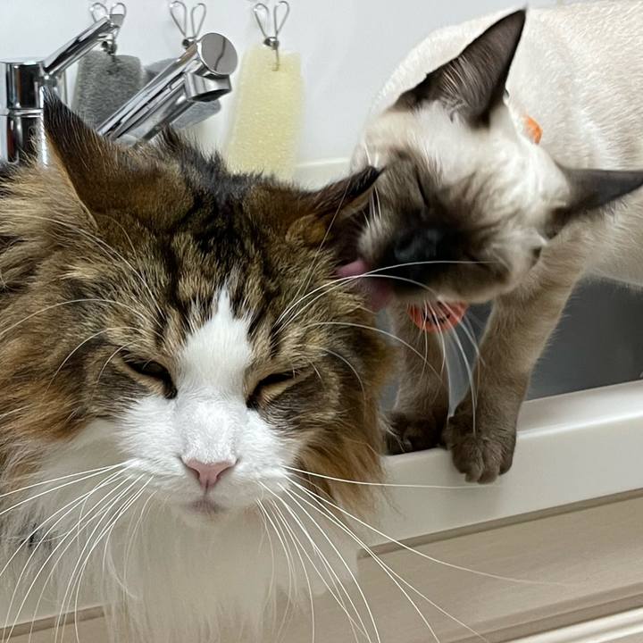 12fa8001 8672 47b7 a0b1 ed76ef368645 1698609157473