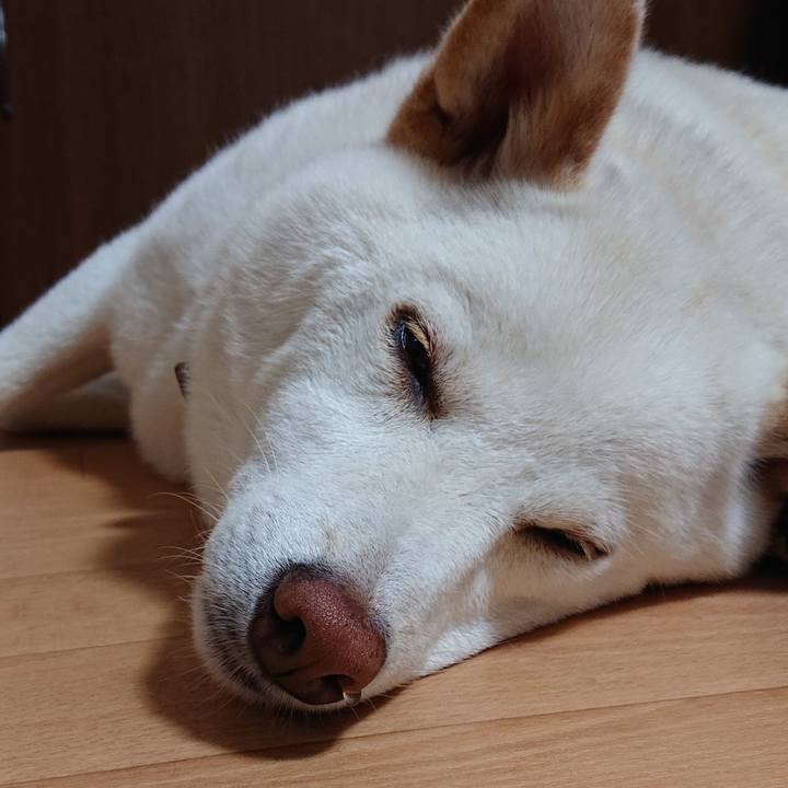 12faad54 e527 40bf bbc5 ac84aa79db3c 1593776474243