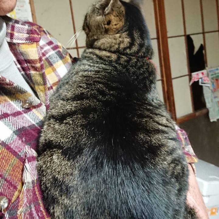 12fad6f3 851a 424d b6ca 9f00a477b686 1640866577365