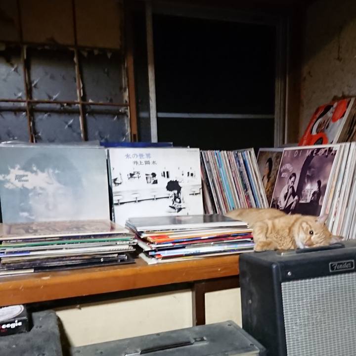 12fae22d 4e0d 46fb ab39 e9c88c4004a2 1660569118035