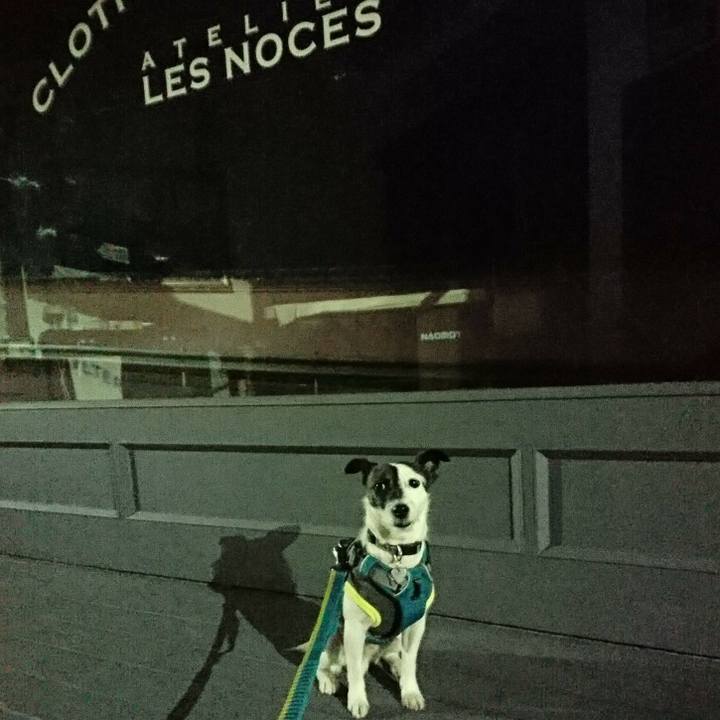 12fae79b 283b 4ebf a4dc fe0430dd29f5 1513501453834