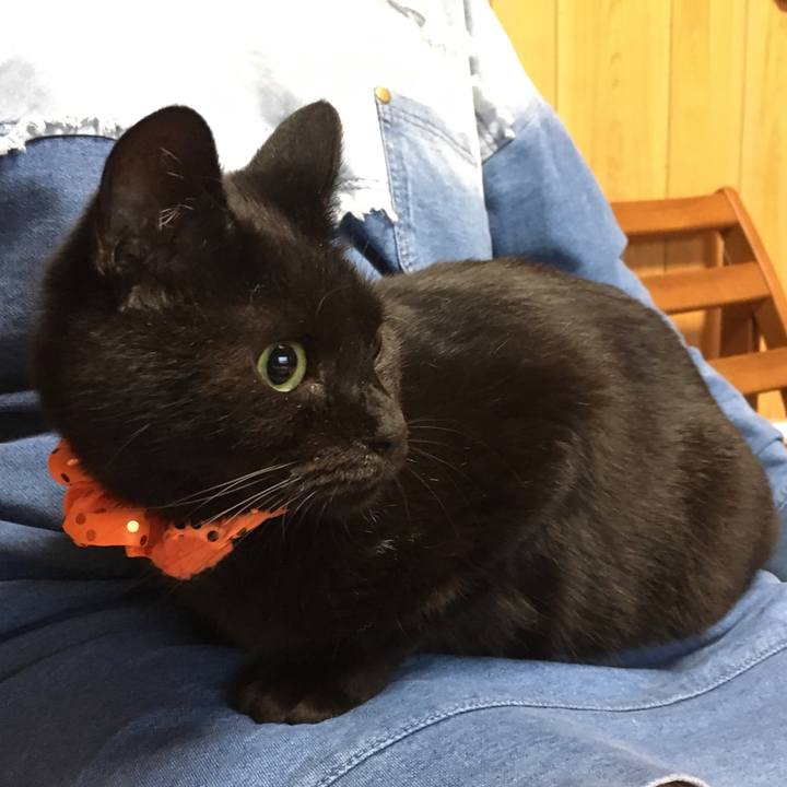 12faeb6d b7ea 460c b000 2cb932e77243 1538430796006